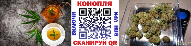 Canna-Cookies конопля  где купить наркотик  Ершов 